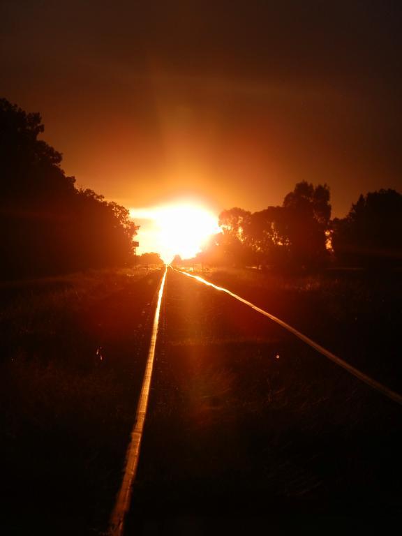 Narrabri Motel And Caravan Park Екстериор снимка